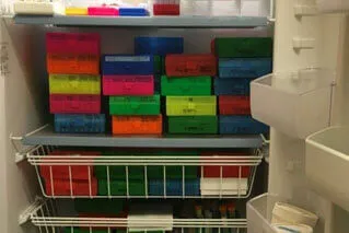 Clean and organized laboratoy freezer.