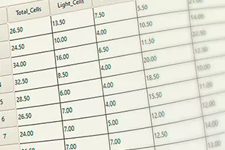 Table of numbers in SPSS.